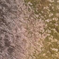 Angkor Wat- schon echt riesig hier