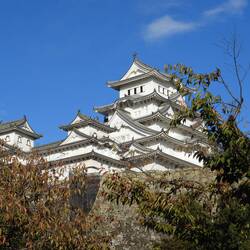 We climbed to the top