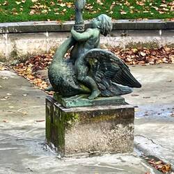 Swan being strangled