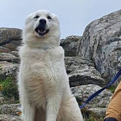 Gaaanz schön windig hier