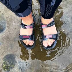 Toes in the north Atlantic Ocean