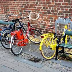 This city has definitely embrac d the bicycle