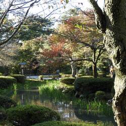 Kenrokuen Gardens