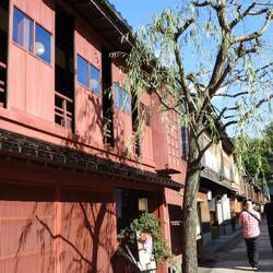 Higashi district- tea houses