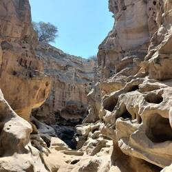 Chahkooh Canyon 🤩