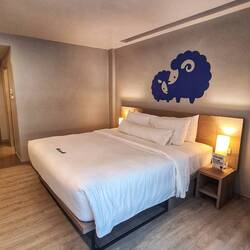 Mein Zimmer für die nächsten 7 Tage 🐑😍