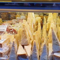 100 Sorten von Parmesan
