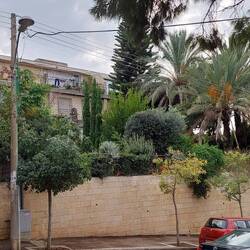 Lovely apartment buildings