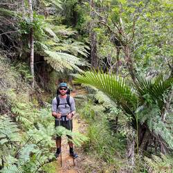 Au milieu de la jungle!