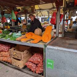 Butternut squash for 10 anyone?