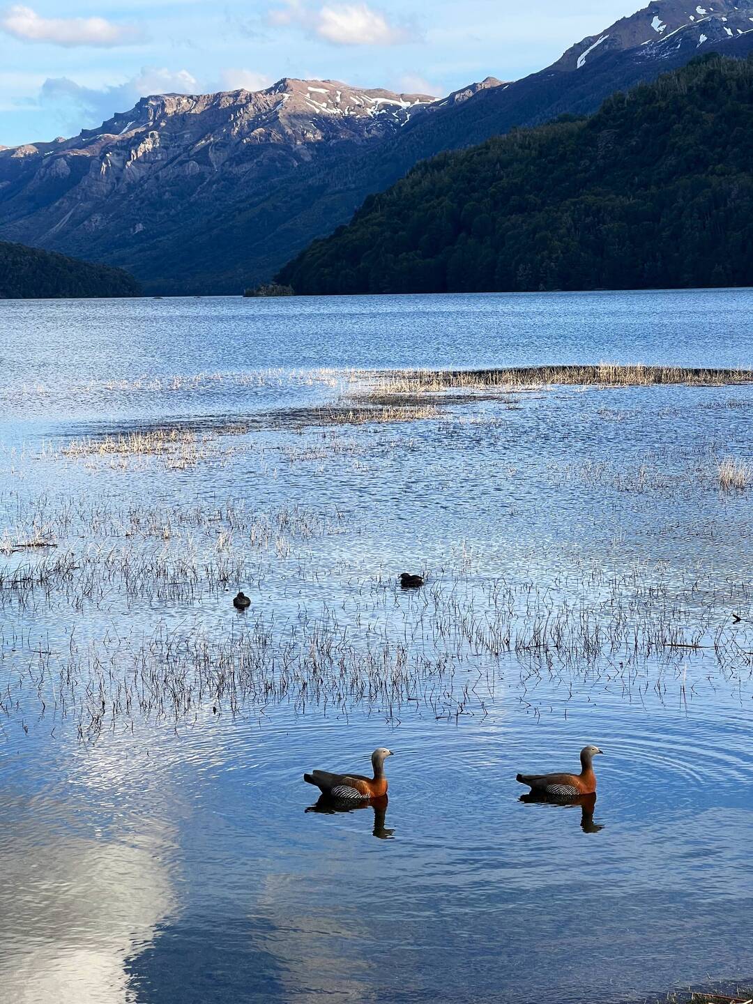 Camped by the lake