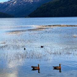 Camped by the lake