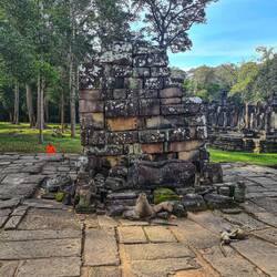 Betet der Affe den Buddha an😅