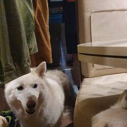 Ein bisschen Eng , aber es regnet mal wieder was es nur kann. Also erst morgen früh wieder raus.