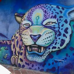 Wenn wir den Jaguar scho nicht in echt antrafen, dann wenigstens als StreetArt😉