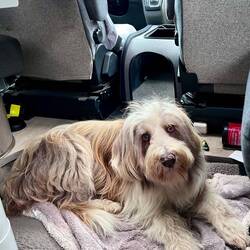Lotte, alle on board