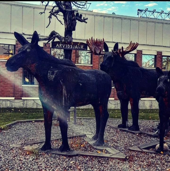 Die Schweden und ihre Elche...