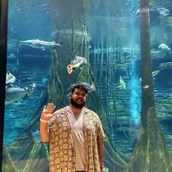 Simon og et kæmpe flot akvarie der gik over to etager