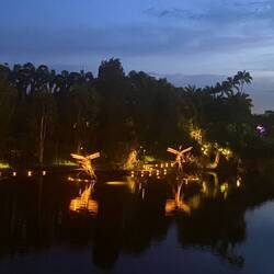 Dragonfly bridge