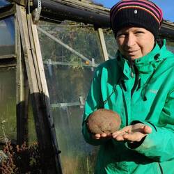 Gärtnerei vor Glashaus