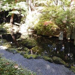 Gardens around museum