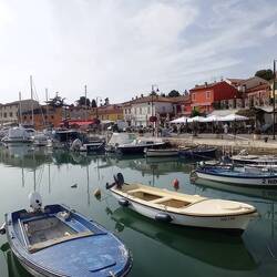 Novigrad