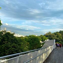 Henderson Waves