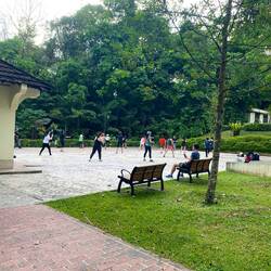 People exercise everywhere here