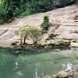 Traumhaft schöne Konoko Wasserfälle