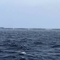Fish farms in Macquarie Harbour.