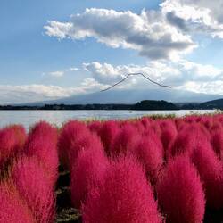 Bemerkung: Genau so hätte es aussehen sollen / Nota: Esto es exactamente como debería haber parecido