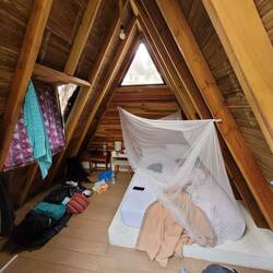 Euses "Tipi"