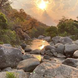 Da geht es morgen hin