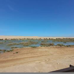 Flamingos gibt es dort