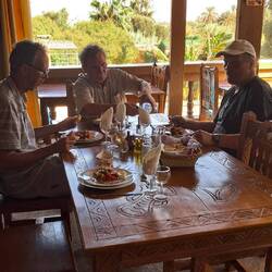 "La Palmereia de Massa"