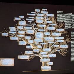 Vlad the Impaler family tree