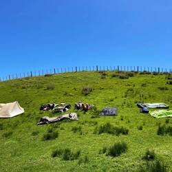 Séchage des tentes pendant une pause de midi au soleil!