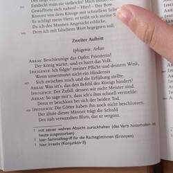 Un dramma di Goethe. Perché secondo loro io ci capisco qualcosa