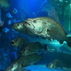 Wir hatten ein bisschen Angst :D