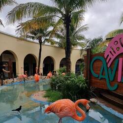 Zurück im Hafenareal