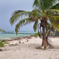 Schlagartig giesst es wie aus Eimern