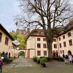 The Hofhaltung with a magnificent Linden Tree in the courtyard