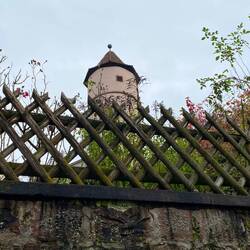 Looking up at the Pointed Tower