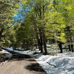 After winter comes spring