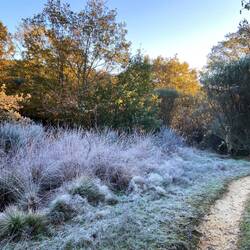 A clear frosty morning