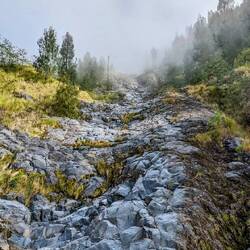 Lavafeld vom Ausbruch 1963