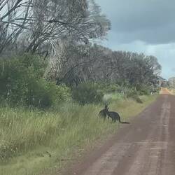 dsa war auf dem Heimweg vom Kinder abgeben
