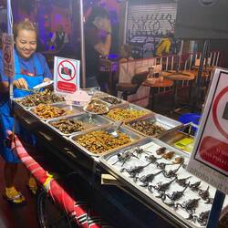 All the insects .. and yes, I tipped her for this photo.