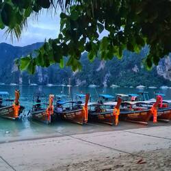 Morgens um 6 Uhr auf dem Weg zum Bootstrip..