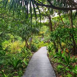 Auf dem Weg zur Maya Bay